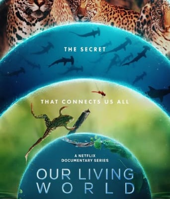 <b><font color='#FF0000'>我们的生物世界</font></b>