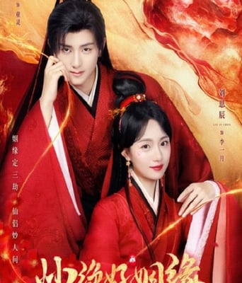 <b><font color='#FF0000'>妙绝好姻缘</font></b>