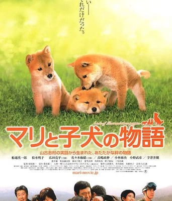 <b><font color='#FF0000'>爱犬的奇迹</font></b>