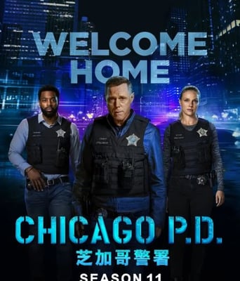<b><font color='#FF0000'>芝加哥警署 第十一季</font></b>