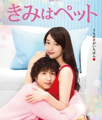 <b><font color='#FF0000'>宠物情人</font></b>