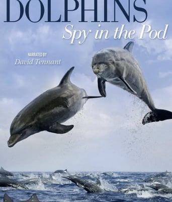 <b><font color='#FF0000'>卧底海豚帮 第一季</font></b>