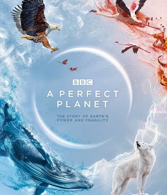 <b><font color='#FF0000'>完美星球</font></b>