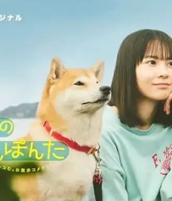 <b><font color='#FF0000'>今日份的散步</font></b>