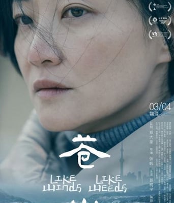 <b><font color='#FF0000'>苍山</font></b>