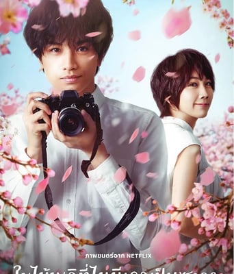 <b><font color='#FF0000'>我的樱花恋人</font></b>