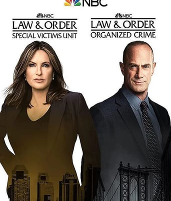 <b><font color='#FF0000'>法律与秩序：特殊受害</font></b>