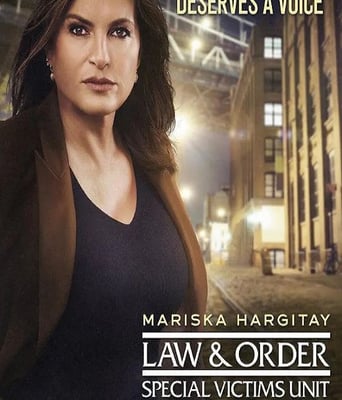 <b><font color='#FF0000'>法律与秩序：特殊受害</font></b>