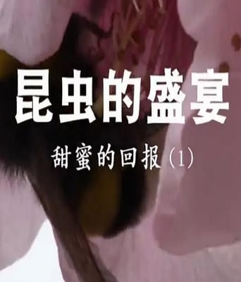 <b><font color='#FF0000'>昆虫的盛宴</font></b>