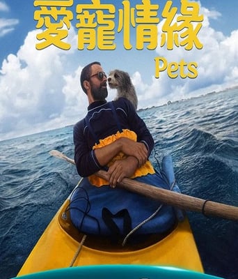 <b><font color='#FF0000'>爱宠情缘</font></b>