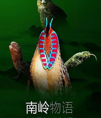 <font color='#FF0000'>南岭物语</font>