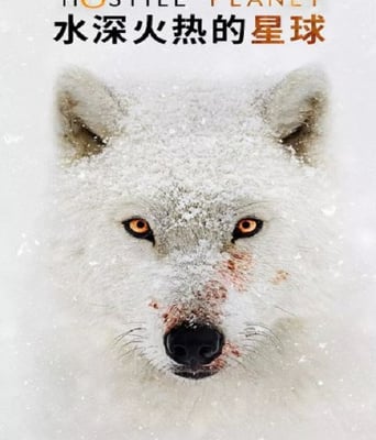 <b><font color='#FF0000'>水深火热的星球</font></b>