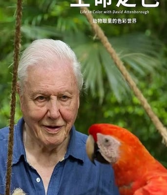 <font color='#FF0000'>生命之色</font>