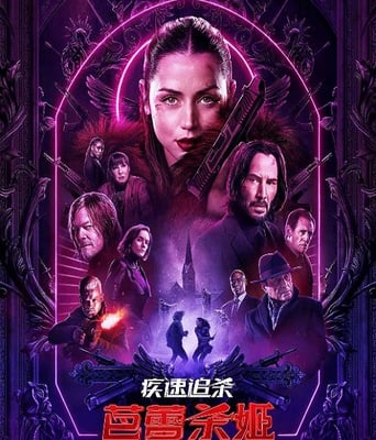 <b><font color='#FF0000'>疾速追杀：芭蕾杀姬</font></b>