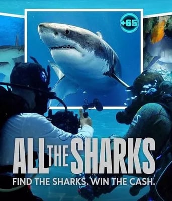 <b><font color='#FF0000'>众里寻鲨：拍摄大作战</font></b>