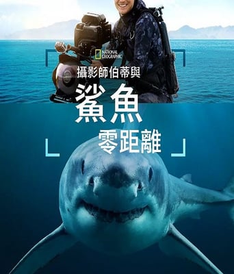 <b><font color='#FF0000'>摄影师贝尔蒂与鲨鱼零</font></b>
