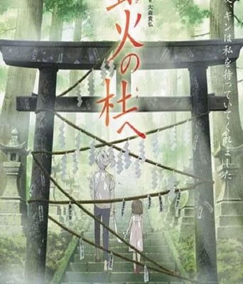 <b><font color='#FF0000'>萤火之森</font></b>