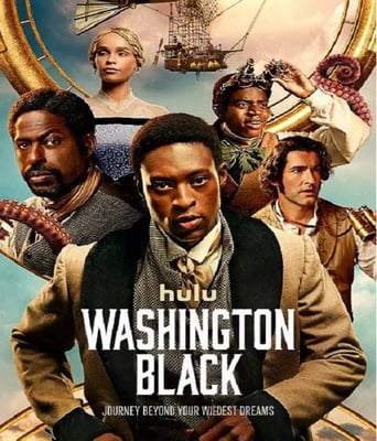 <b><font color='#FF0000'>华盛顿·布莱克</font></b>