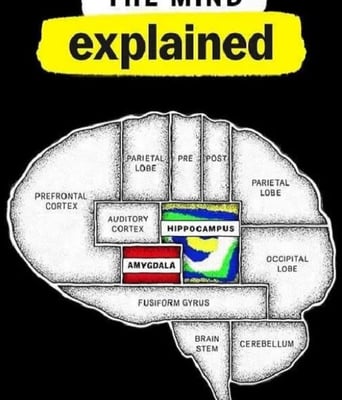 <b><font color='#FF0000'>头脑解密 第二季</font></b>