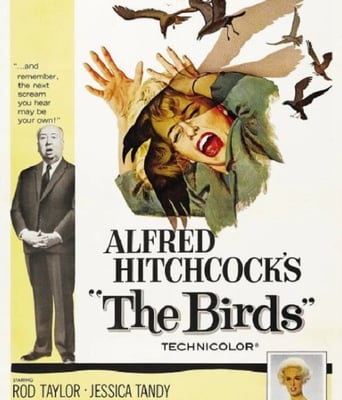 <b><font color='#FF0000'>群鸟1963</font></b>