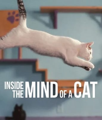 <b><font color='#FF0000'>喵星人的奇思妙想</font></b>