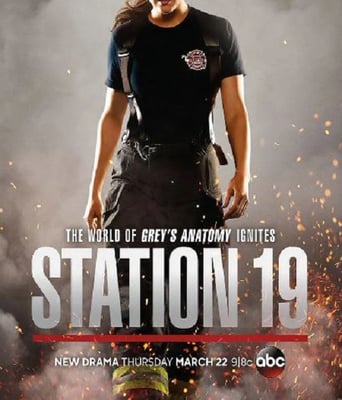 <b><font color='#FF0000'>19号消防局 第一季</font></b>