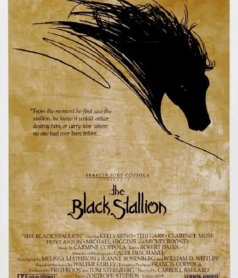 <b><font color='#FF0000'>黑神驹1979</font></b>