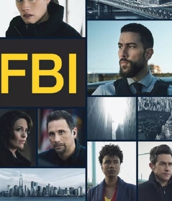 <b><font color='#FF0000'>联邦调查局 第六季</font></b>