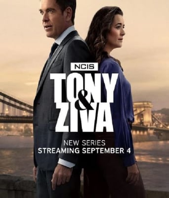 <b><font color='#FF0000'>海军罪案调查处：欧洲</font></b>