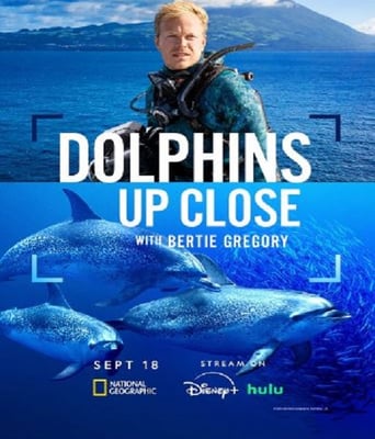 <b><font color='#FF0000'>摄影师贝尔蒂与海豚零</font></b>