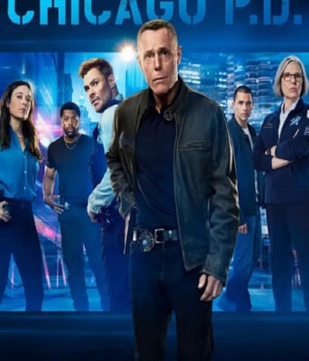 <b><font color='#FF0000'>芝加哥警署 第十三季</font></b>