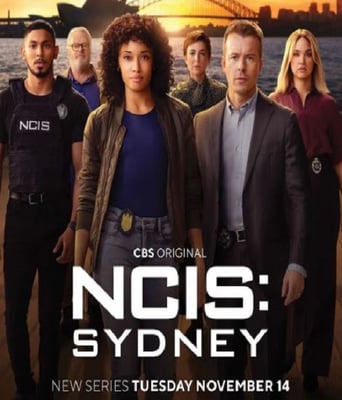 <b><font color='#FF0000'>海军罪案调查处：悉尼</font></b>