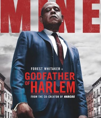 <b><font color='#FF0000'>哈林教父 第一季</font></b>