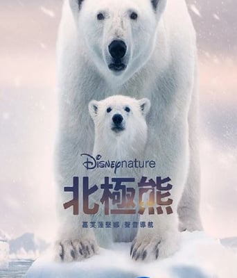 <b><font color='#FF0000'>北極熊</font></b>