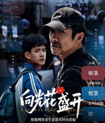 <font color='#FF0000'>向光花盛开</font>