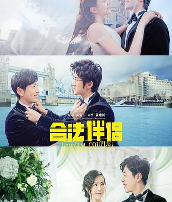 <b><font color='#FF0000'>合法伴侣</font></b>