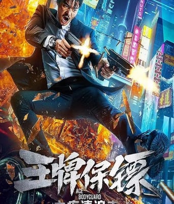 <b><font color='#FF0000'>王牌保镖之疾速追击</font></b>