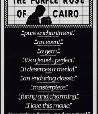 开罗紫<font color='red'>玫瑰</font>