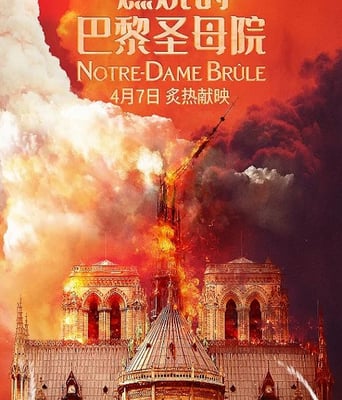 <font color='red'>燃烧</font>的巴黎圣母院