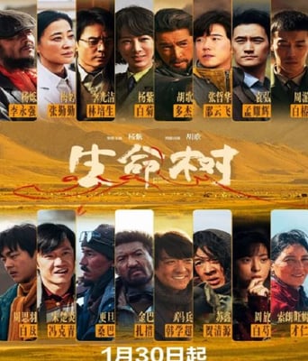 <b><font color='#FF0000'>生命树</font></b>