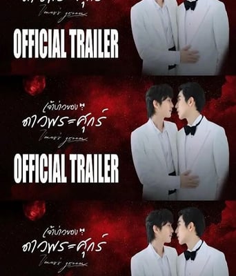 <b><font color='#FF0000'>维纳斯的新郎</font></b>