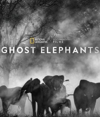 追寻幽灵大象