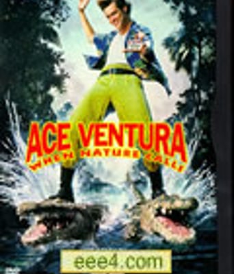 神探飞机头2:非洲大