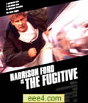 亡命天涯/绝命追杀令