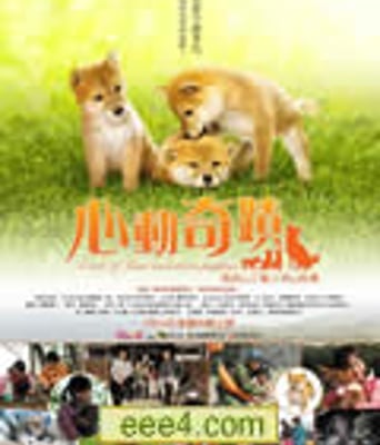 心动奇迹/玛丽和幼犬
