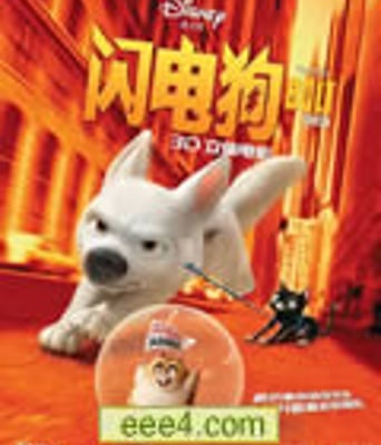 闪电狗/明星狗/老狗