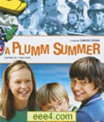 普卢默的夏天[DVD中英