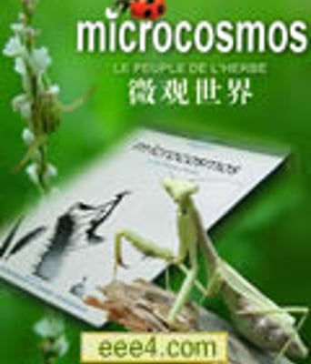 微观世界/草丛里的居