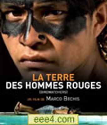 观鸟者/观鸟人/红人的