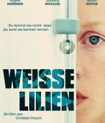 白色百合/作恶之人/密